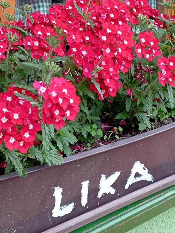 Ivona - Kuca Za Odmor - Stara Lika Apartment Perusic